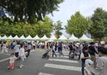2024. 강동선사문화축제 