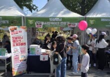 2024. 강동선사문화축제 